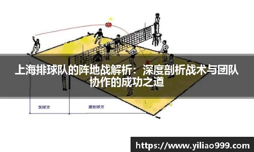上海排球队的阵地战解析：深度剖析战术与团队协作的成功之道